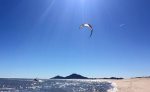 Kite surfing at El Dorado Ranch beach, San Felipe 